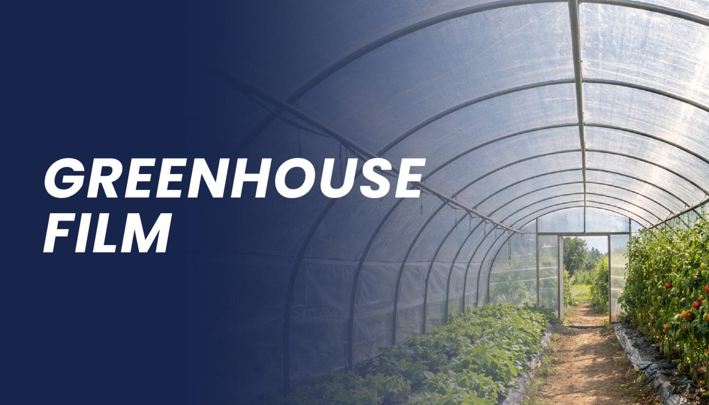 Greenhouse Roll Film