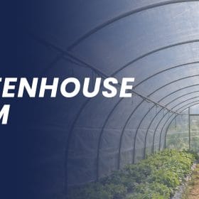 Greenhouse Roll Film