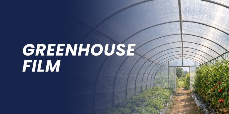 Greenhouse Roll Film